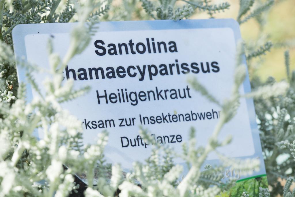 Kraeuterpension Rosenkranz Rangersdorf Extérieur photo